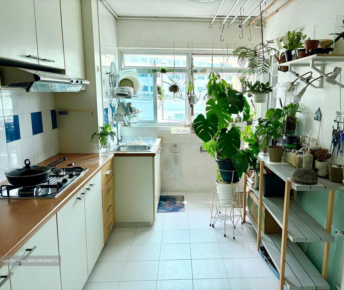 Blk 203 Serangoon Central (Serangoon), HDB 3 Rooms #554064751
